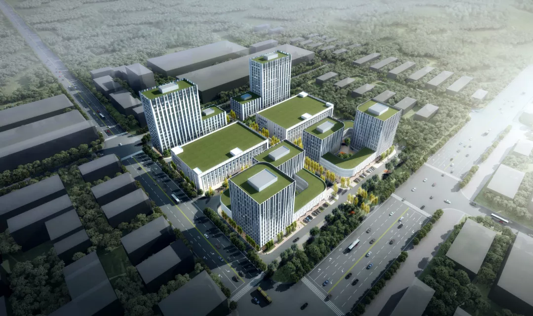 1634517454811076.jpg 2.jpg